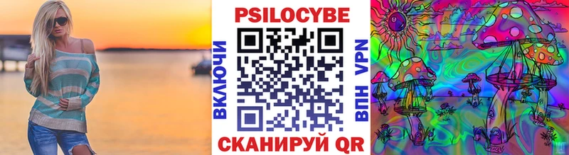 Псилоцибиновые грибы MAGIC MUSHROOMS  где купить наркотик  Тверь 