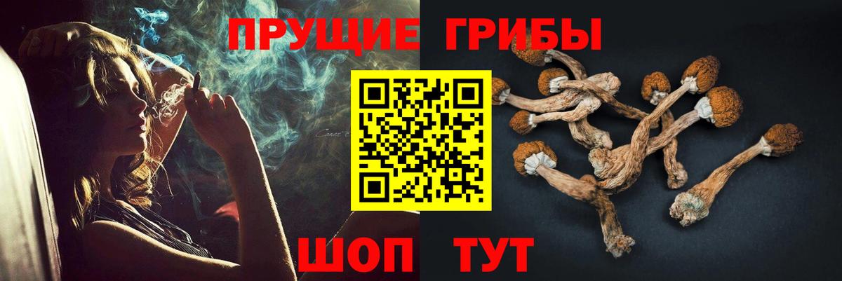 Тверь  Псилоцибиновые грибы MAGIC MUSHROOMS  Вход с VPN 