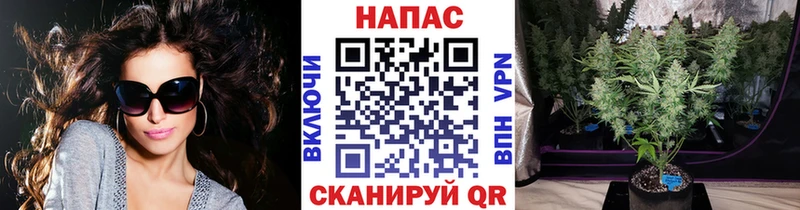 Шишки марихуана MAZAR  Тверь 